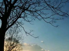 -享口福饺子馆(民旺园店)