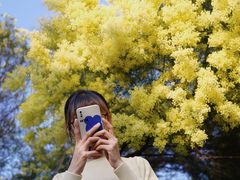 -厦门国家会计学院