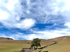 -克什克腾世界地质公园青山景区
