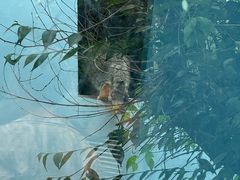 -青藏高原野生动物园