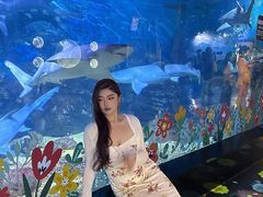 -烟台海昌鲸鲨海洋公园