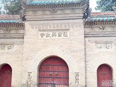 -兴教寺