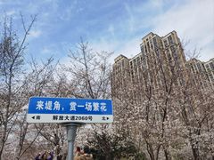 -堤角公园