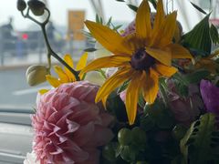 -花到家(富贵鸟花艺行)