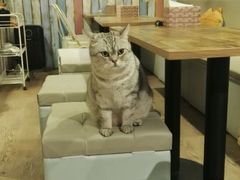 -小时光咖啡馆(开森度假森林店)