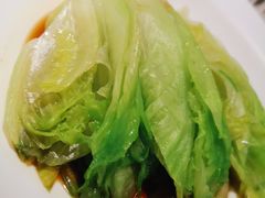 白灼生菜-维园悦谱·海派家常菜(乌鲁木齐南路店)