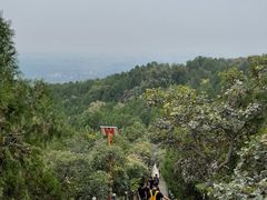 -红螺寺