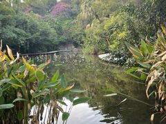 -燕晗山郊野公园