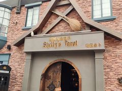 -雪灵魔法世界SHELLY’S TAROT(大良桂畔里店)