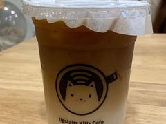 -楼上猫咖(罗湖店)