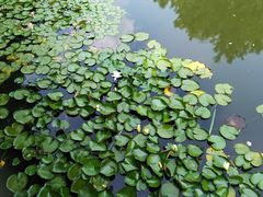 -三里河公园
