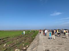 -南汇嘴观海公园