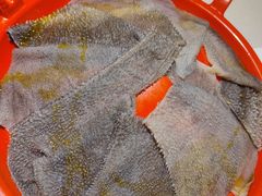 -二荆条·城市森林火锅旗舰店