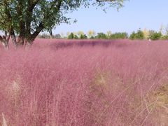 -汉长安城未央宫国家考古遗址公园