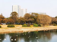 -渤公岛生态公园