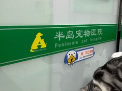 -半岛宠物医院24小时(科华中路店)