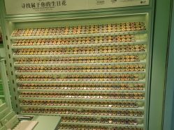 -青稚护手霜QINGZHI