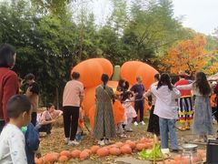 -HERRE·FARM 赫尔露营农场·团建聚会包场