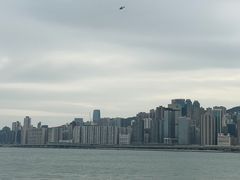 -星光大道