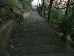 -陕西省红河谷森林公园