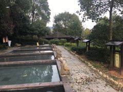 -山湖温泉