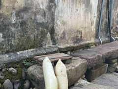 -前童古镇