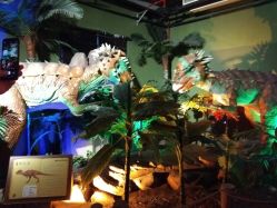 -恐龙探索乐园(磁器口店)