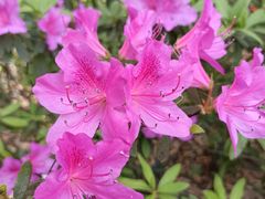 -苏州河梦清园环保主题公园