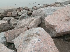 -深圳湾公园(南山区)