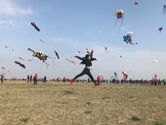 -舜玉老孙家鲜炒大盘鸡(土屋路店)