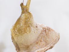 -姐妹炖罐店(桂香街总店)