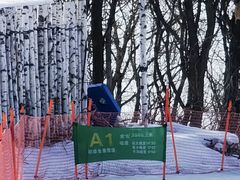 -中旅松花湖滑雪场
