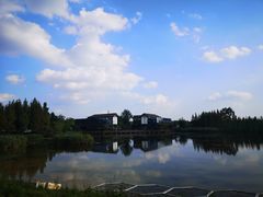 -白鹭湾湿地公园