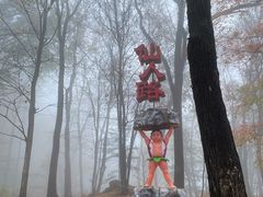 -香炉山国家森林公园