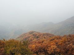 -白草畔自然风景区