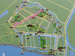 -合肥滨湖国家森林公园