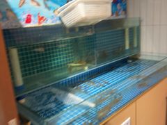 -犇鼎牛潮汕牛肉火锅(新辰里学清路店)