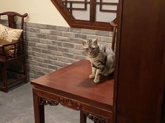 -一盃山水咖啡茶馆