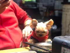 -萌牛肠烧烤店(虹梅路店)
