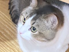 -和它·交个朋友·狗咖猫咖(爱琴海店)