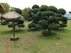 -苏州太湖西山岛开心农场