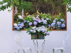 -名花谷生态庄园