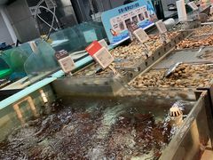 -盒马鲜生(杭州运河上街店)
