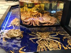 -蟹道乐(道顿堀本店)