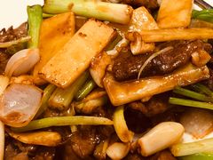 -东方御宴海鲜酒楼(棕泉酒店)