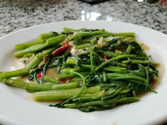 -光海鲜鱼翅餐厅(叻差拉披色路店)