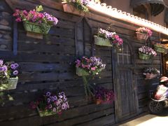 -南瓜花意大利餐厅(高新二路店)
