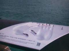 -星光大道