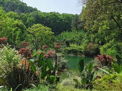 -缙云山景区
