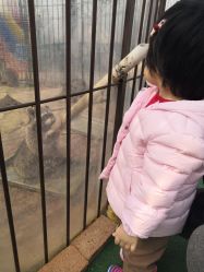 -萌宠亲子动物乐园(槐房万达店)